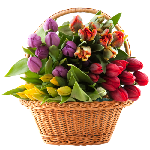 bouquet_PNG11